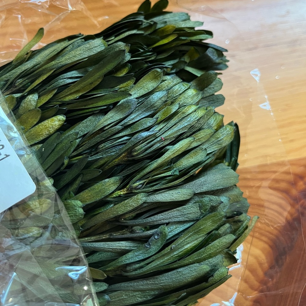 COPY - Oasis Dried Floral Foliage
